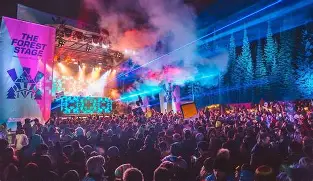 Festival party energy