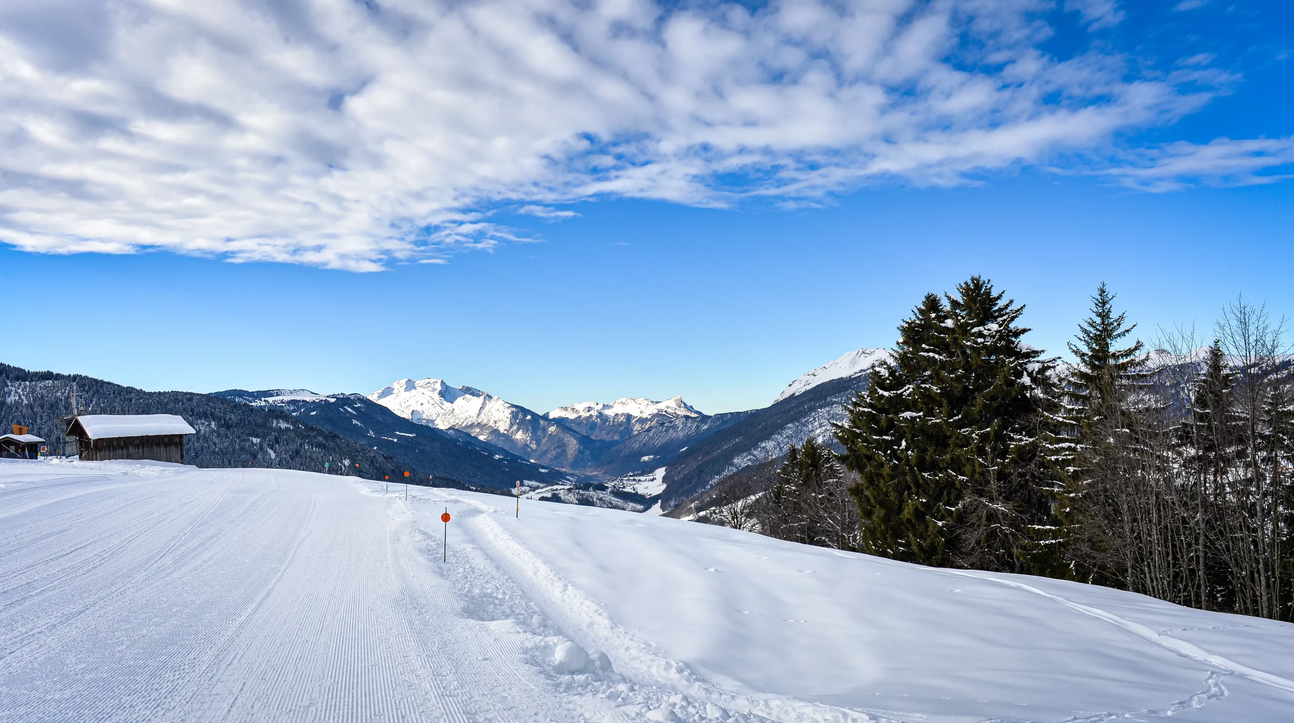 Alpine snow perfection